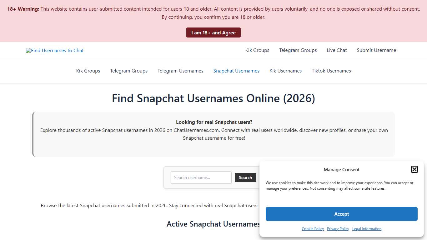 Find Snapchat Usernames Online (2026) ChatUsernames